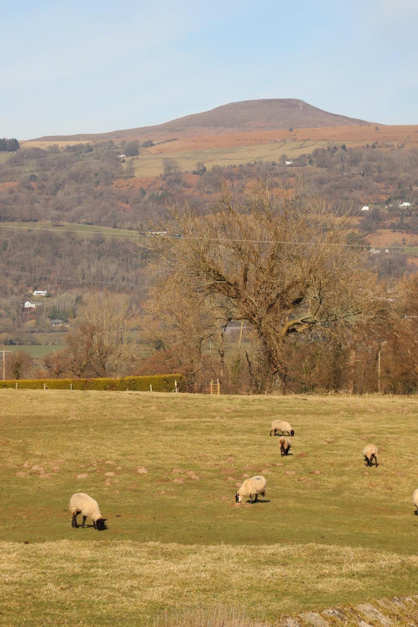 Cowshed In The Black Mountains Abergavenny Exterior photo